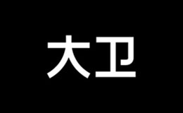 大衛(wèi)拖把品牌介紹